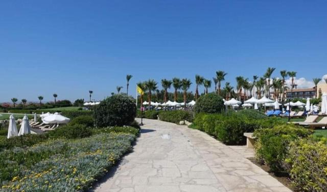 דירות Paphos Sunset Seaview Studio מראה חיצוני תמונה